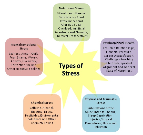 Stress And Health Part 2 - Finesse Fitness.